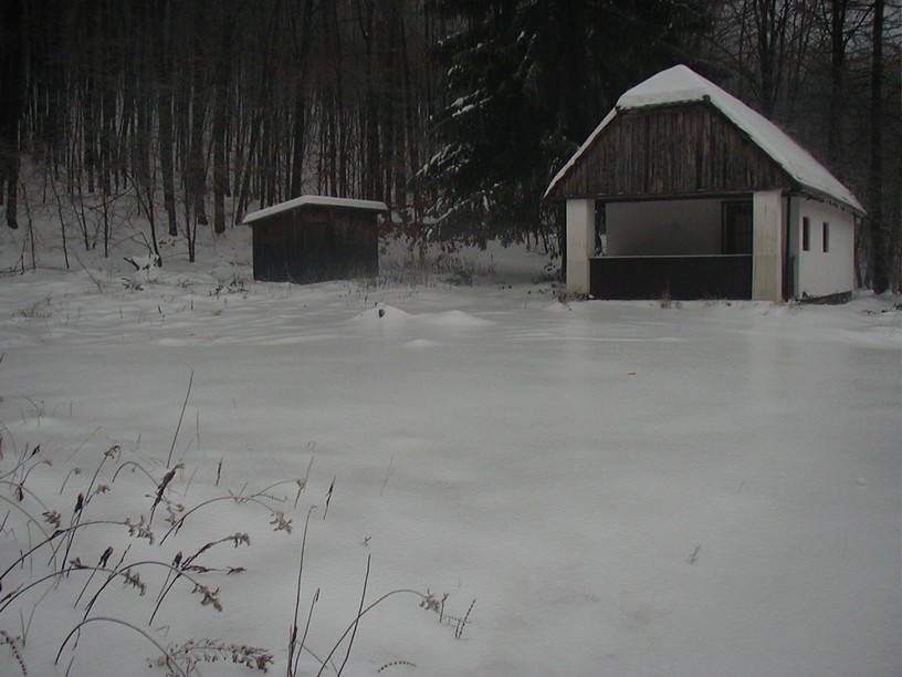 survive_2010_026.jpg