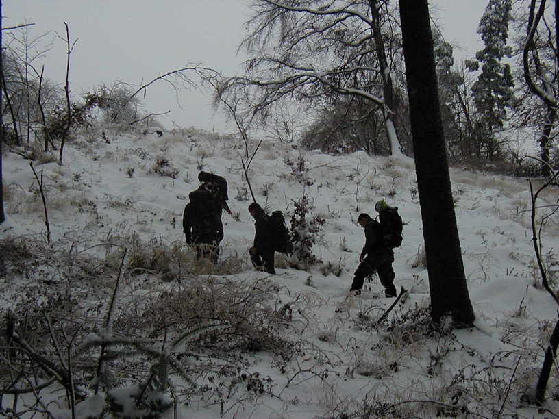 survive_2010_043.jpg