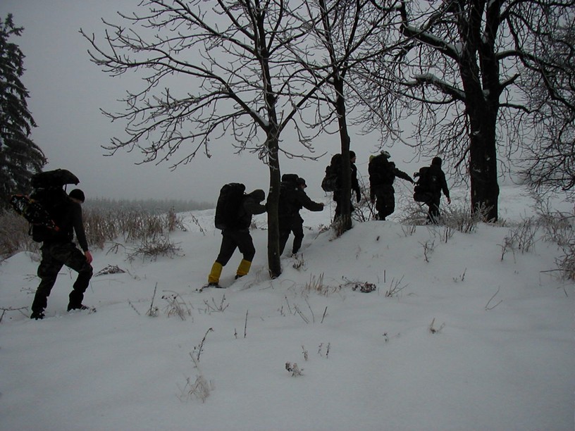survive_2010_048.jpg