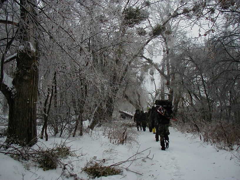 survive_2010_053.jpg