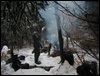 survive_2010_005.jpg
