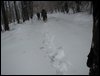 survive_2010_018.jpg