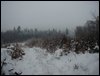 survive_2010_020.jpg