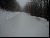 survive_2010_024.jpg