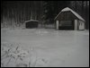 survive_2010_026.jpg