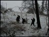 survive_2010_043.jpg