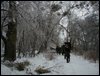 survive_2010_053.jpg