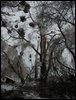 survive_2010_054.jpg