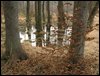 IMG_6194.jpg