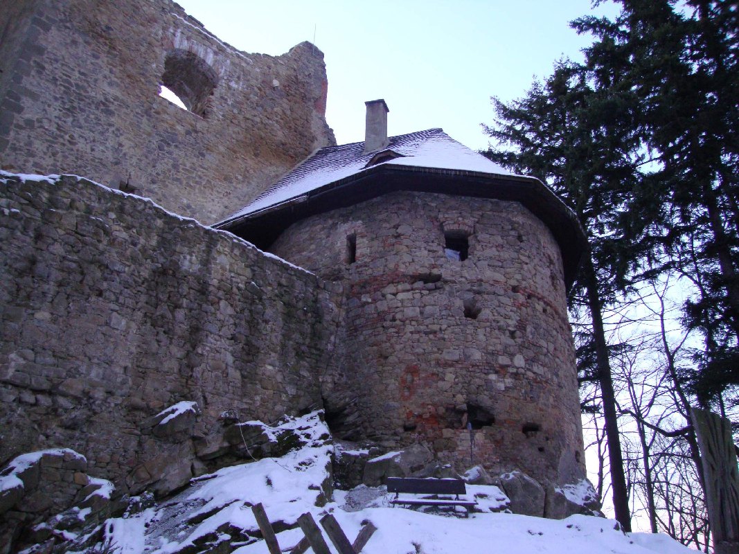 DSC05581.jpg